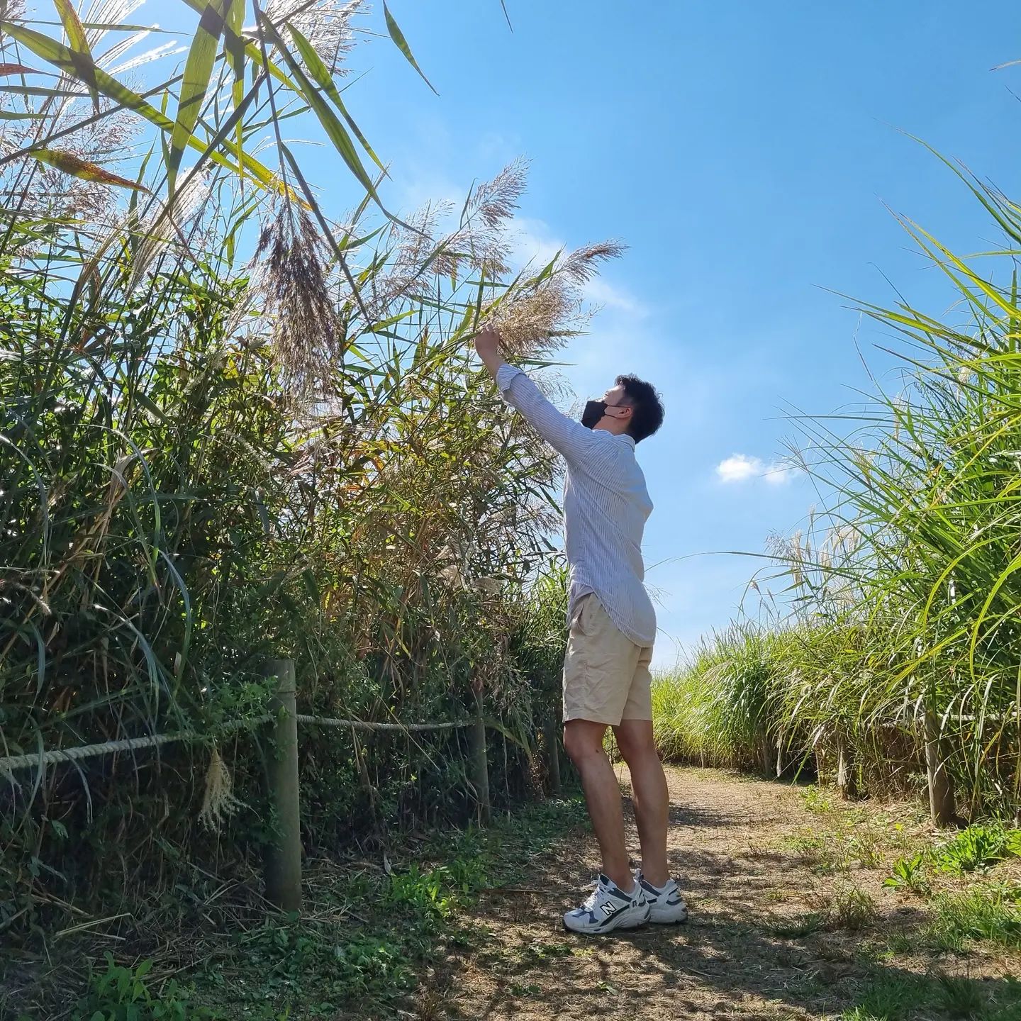 주말이 되기전 저번주말 사진 올리기😁
핑크뮬리보러갔다가 해바라기🌻 구경ㅎ
날씨 좋아서 간만에 바람도 쐬고 기분 좋은날🌞