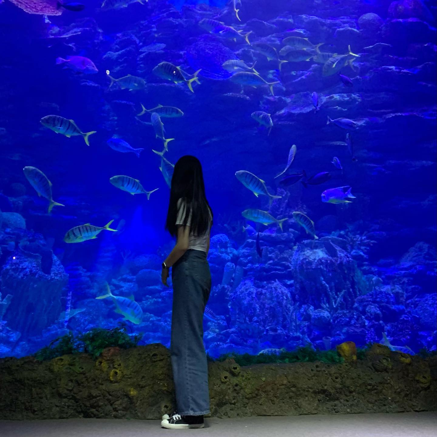 아쿠아리움에 해운대를 곁들인 🐳
