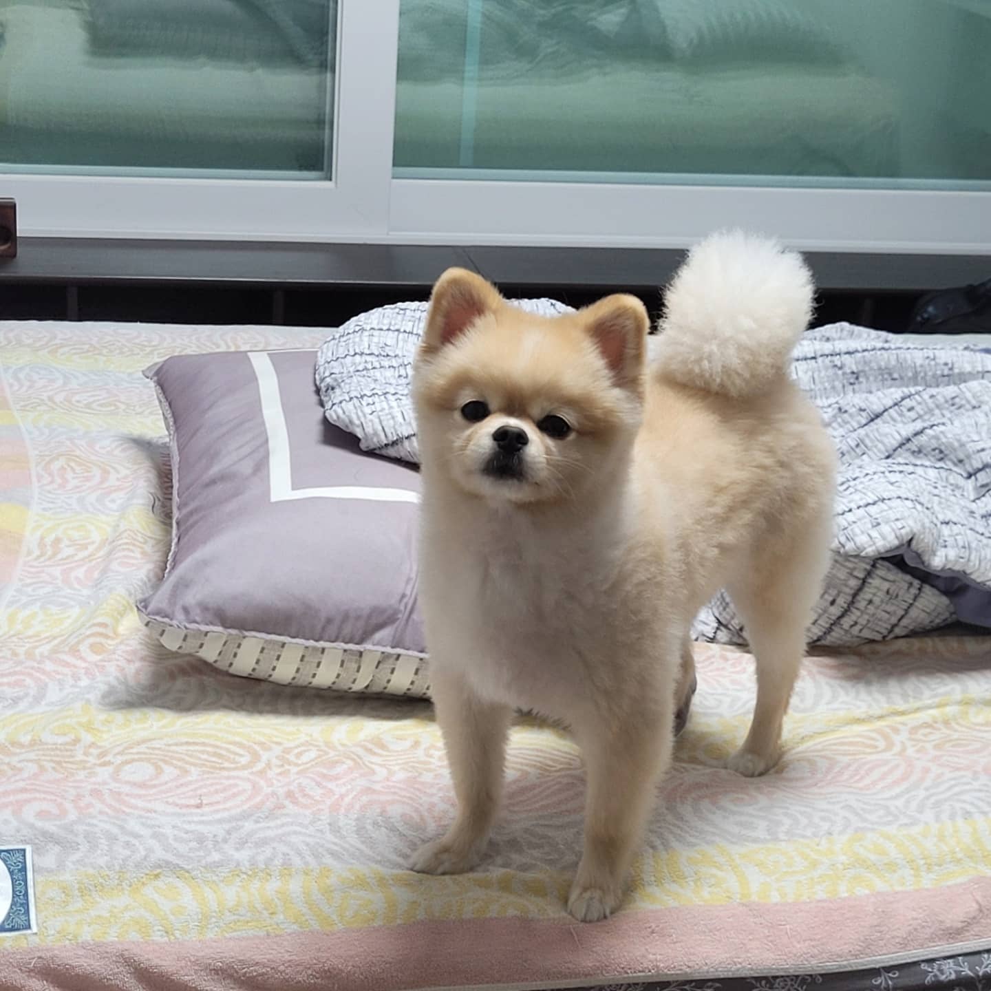 모닝구