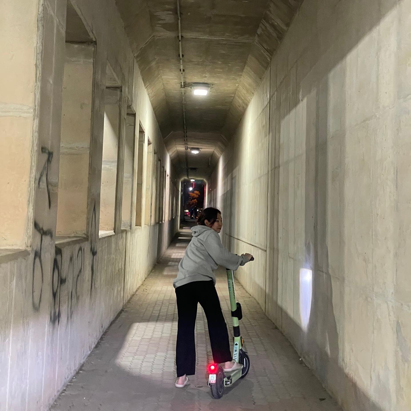 -
지쿠터에 진심인 🛴💦
갑자기 이사를 고려 🤣
고라니 사건 이후 나는 타기 싫다고🥲
.
.
.
#무셔무셔 #고라니조심