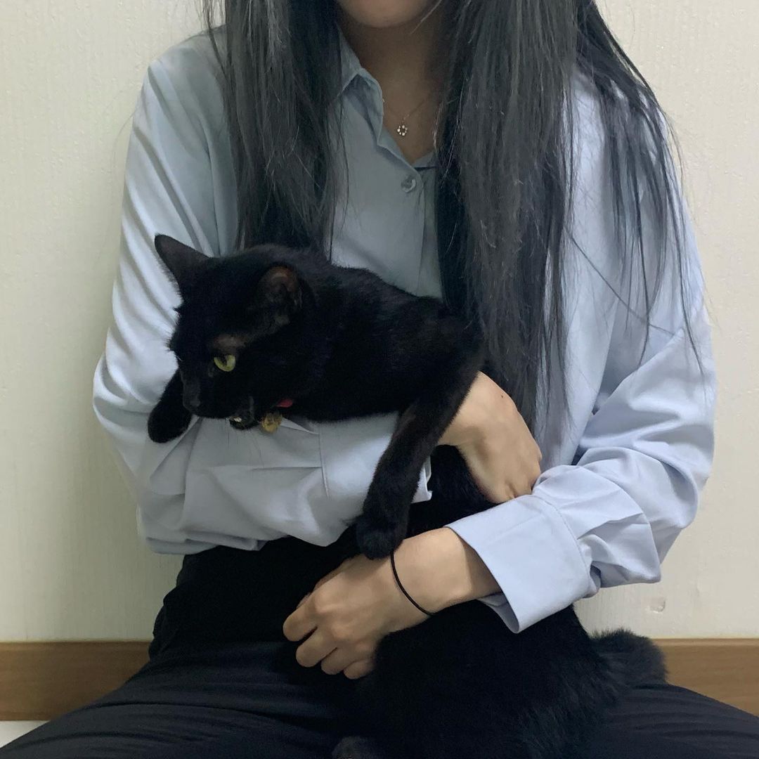 냥스타그램 | 검은 고양이 로이 on Instagram: “#광고 #NOTTOY챌린지 뜻깊은 챌린지에 우리 로이랑 함께 참여하게 됐어요! (이거 놓으라고 소리 지르는 중 아님) 반려견, 반려묘를 위한 NOT TOY