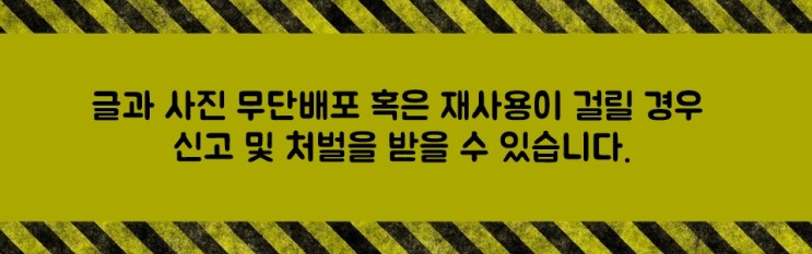 대기업 대외활동 합격비결, SNS타임에서 인스타 팔로워 구매로 스펙쌓기