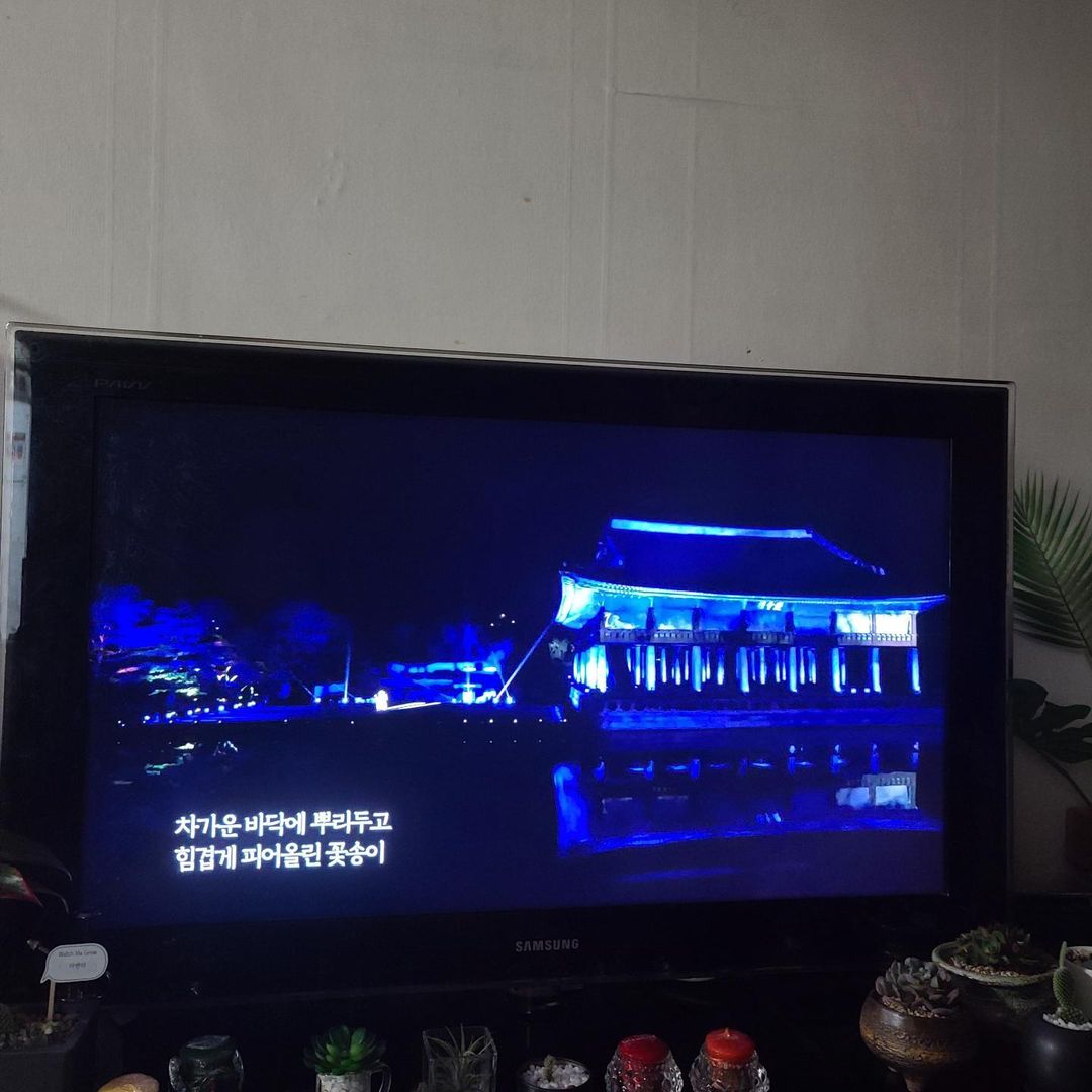 YC.Fit♡ on Instagram: “#궁중문화축전 #협찬 매년 궁중문화축전 직접가서 관람했었는데, 올해는 유튜브로 생중계되어 집에서도 편안하게 시청했어요. 온라인 생중계를 놓친분들도 현재 궁중