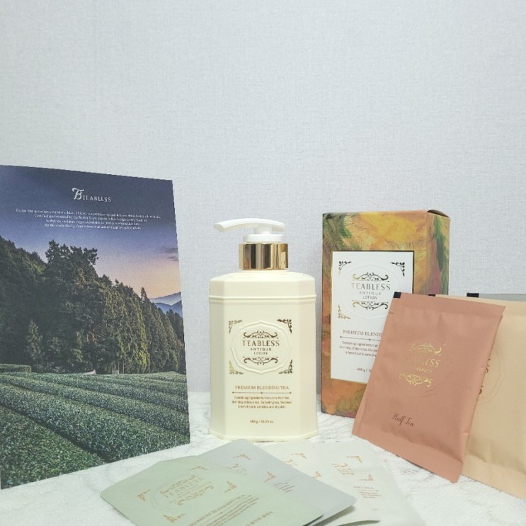 피부가 마시는 차 티블레스 앤틱 모이스처 로션! 겨울철 올인원 패밀리 비건 로션으로 추천