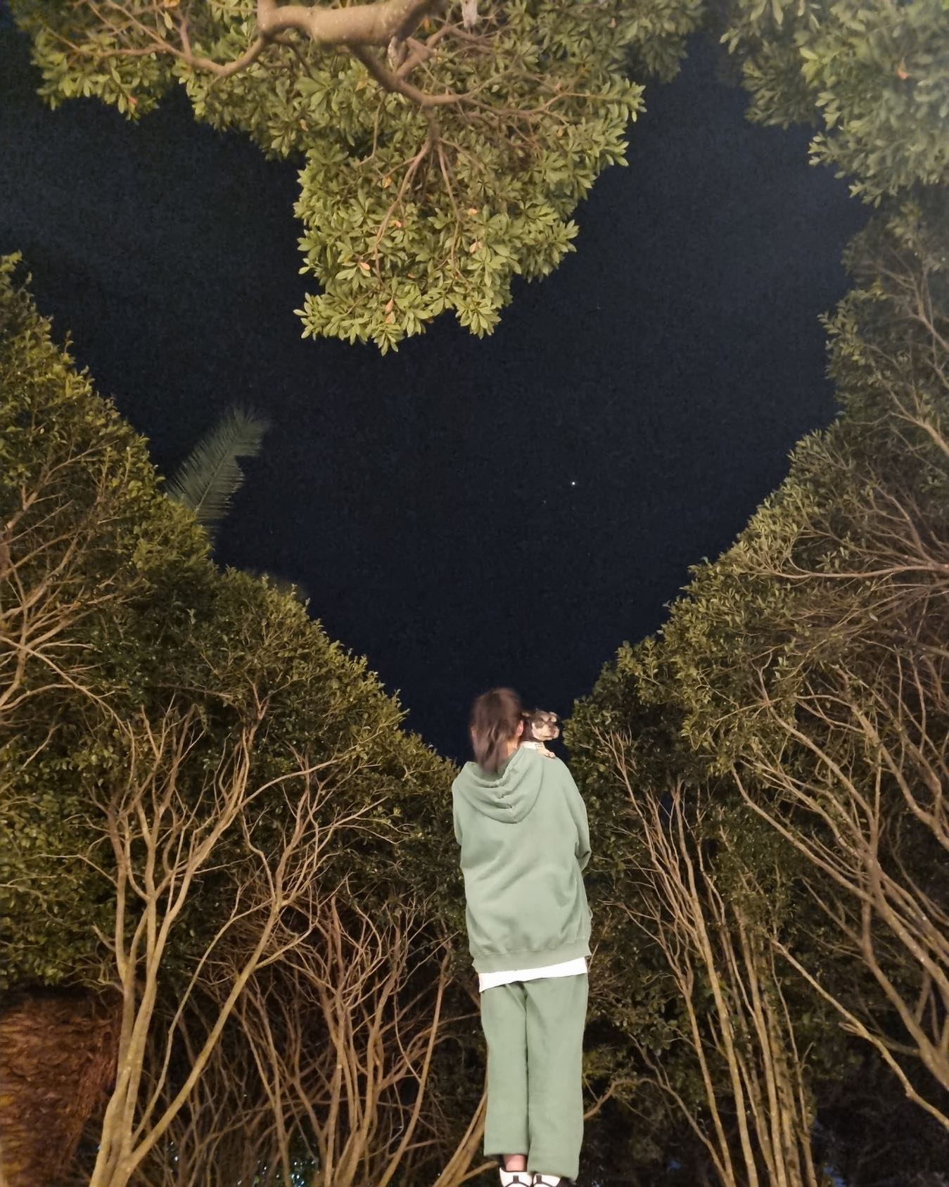 행복하자 아콩아💕

#소노캄제주 #하트나무 #인피니티풀