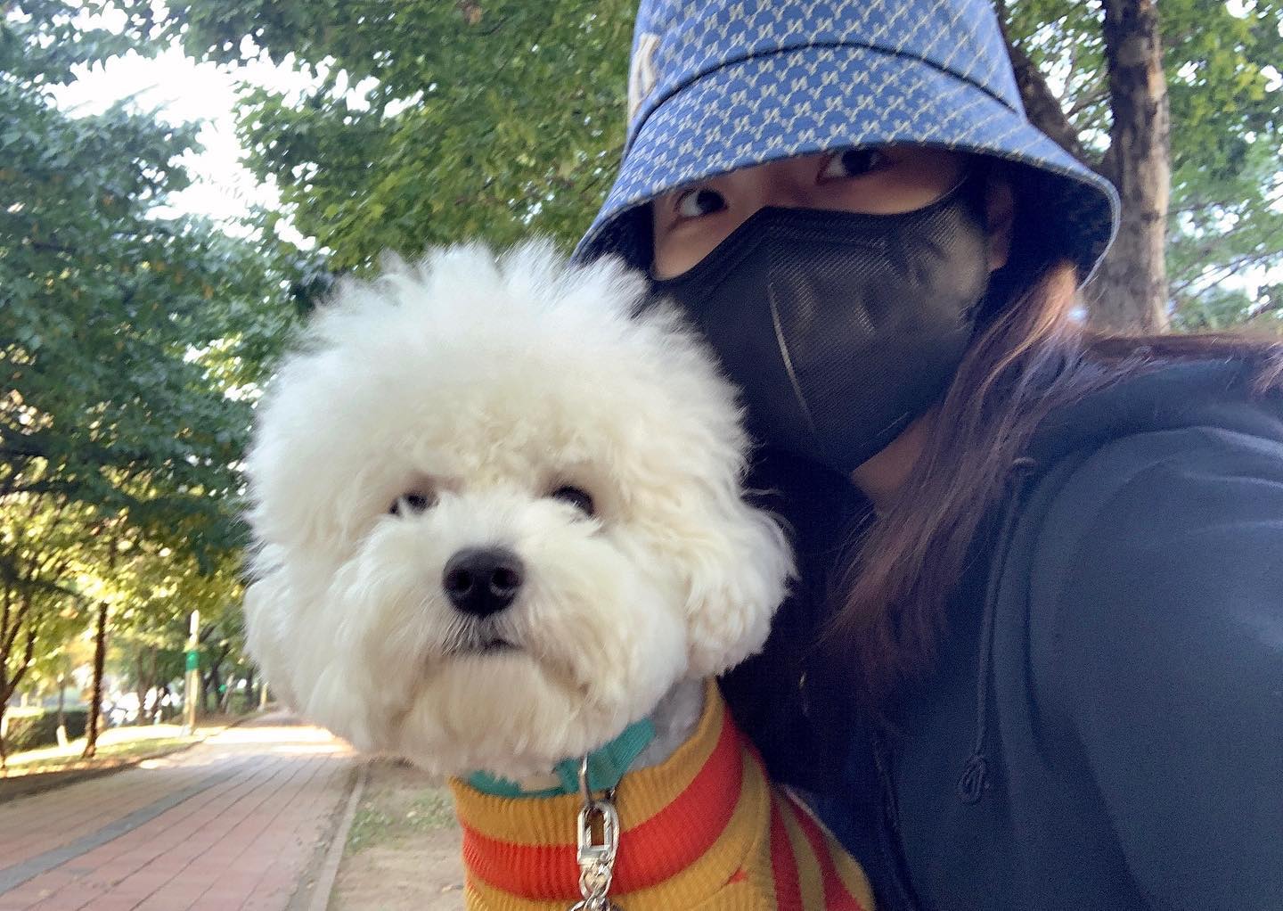 설탕이의 가을가을 🍂🍂