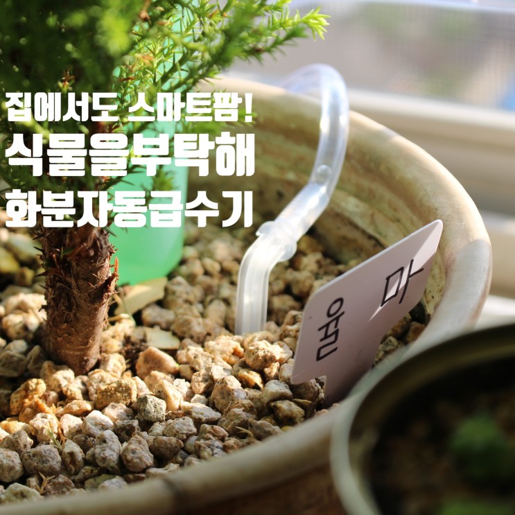 이젠 집에서도 스마트팜 시대! 화분 자동급수기 [ 식물을부탁해 ]