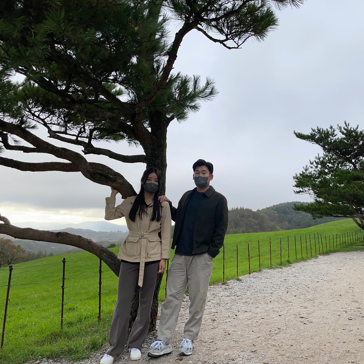 원한다면 나무도 뽑아줄게🐑🌴🪵