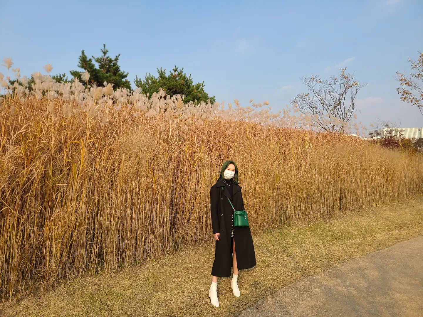 가을이었다🍂
.
.
.
#일상 #기록 #서울데이트 #서울나들이 #서울랜드마크 #마곡나루역 #서울식물원 #가을 #가을이었다 #억새 #억새밭 #초록이 #초록머리 #초록가방 #앵클부츠 #앵클부츠코디 #오오티디 #ootd #오늘의패션 #좋반 #좋아요 #좋아요반사 #맞팔 #맞팔해요