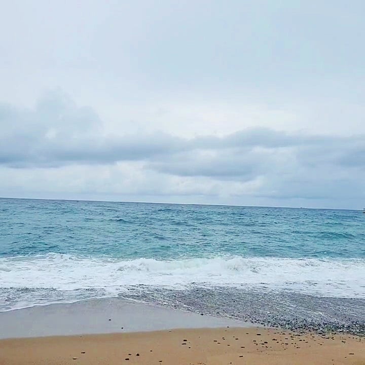 🏖
.
.
.
#날씨 #여행 #해남 #영덕 #차박캠핑 #스타리아 #장사해수욕장 #영덕여행 #가족여행 #바다 #비 #비멍 #불멍 #daily #확찐자 #운동 #물멍