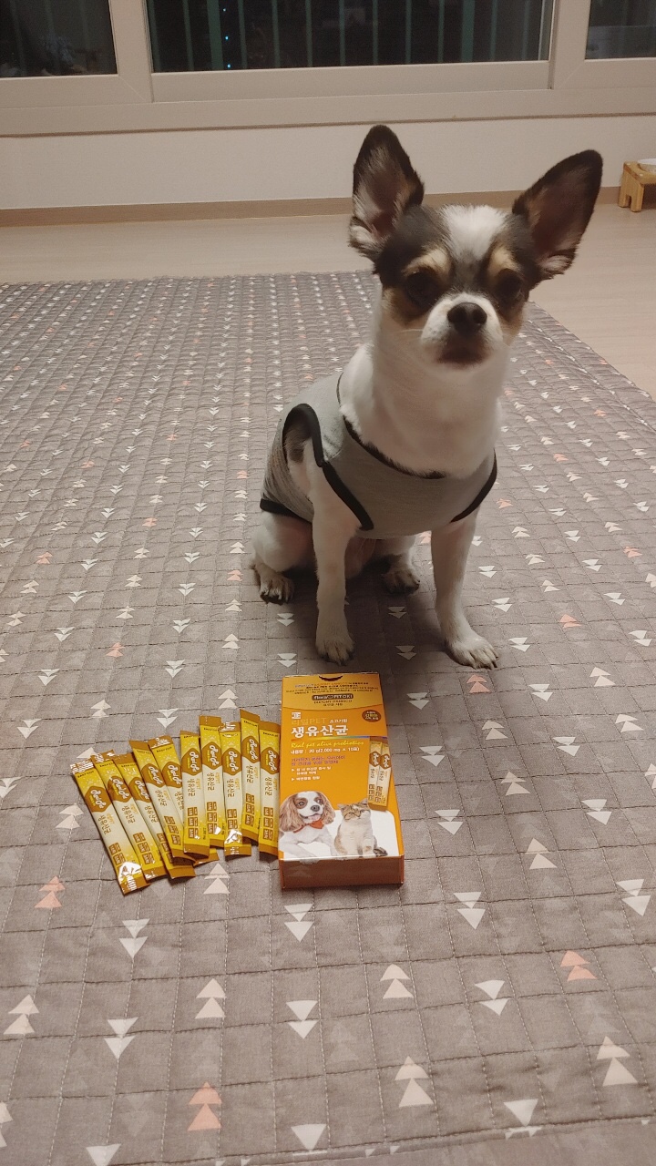 리얼PET 생유산균 후기*