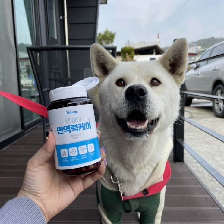반려견 ••  반려묘 면역력 펫웨이면역력케어로 해결하자!
