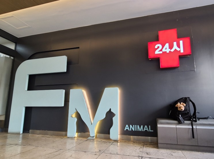 일산 24시동물병원 ⠀⠀⠀⠀⠀⠀⠀⠀⠀⠀FM메디칼센터