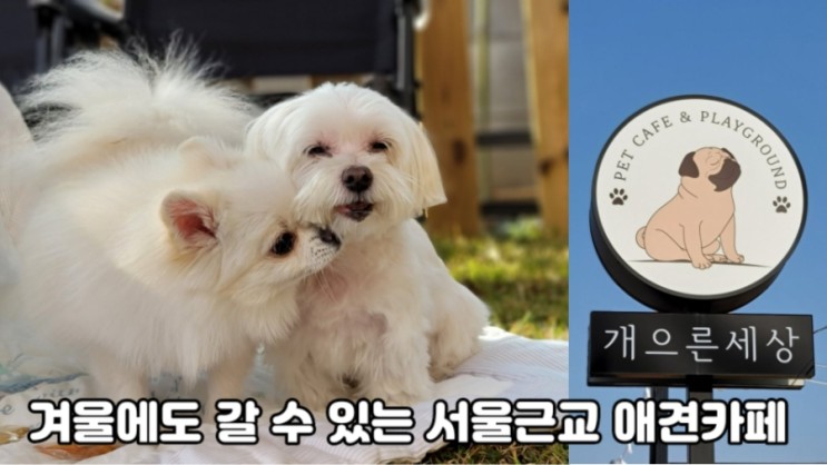 서울근교애견카페-겨울에도 가기 좋은 김포야외카페 '개으른세상'