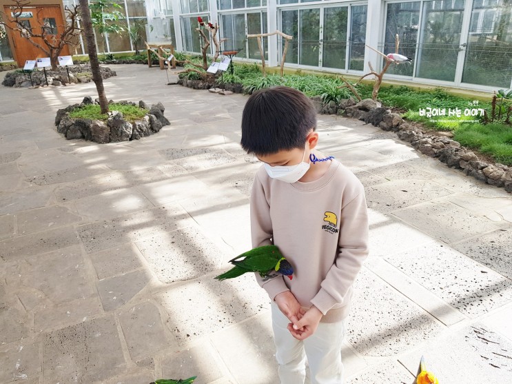 체험 많은 제주 동물원 화조원 생각보다 넘 괜찮은데?