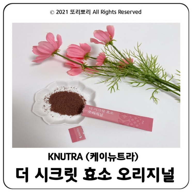 곡물발효라서 속이 편한 더 시크릿 효소 오리지널