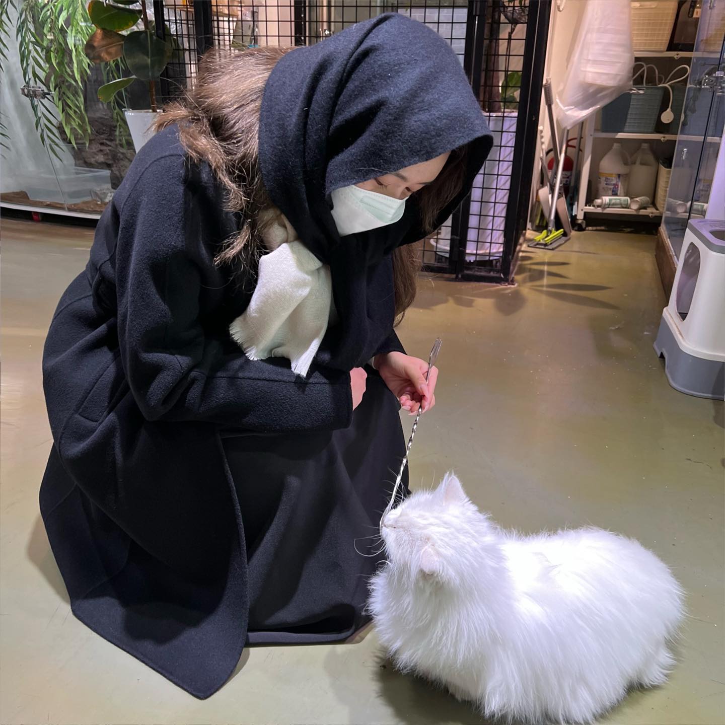 나만 없어 고양이🐈‍⬛
.
.
.

#좋반#반사#선팔#맞팔#좋아요#fff #likeforlikes#photooftheday#selfie#얼스타그램#소통#인친#데일리#선팔하면맞팔#맞팔#instagood#daily#selca #18#19#01#02#고딩#좋아요반사#첫줄반사#followforfollowback#f4f #picoftheday#today