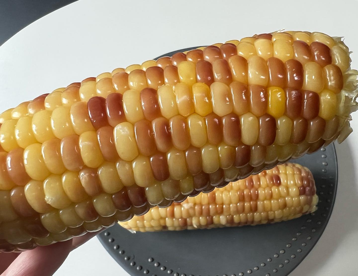 영롱보스 옥수수 넘흐 맛이따🌽

#옥수수