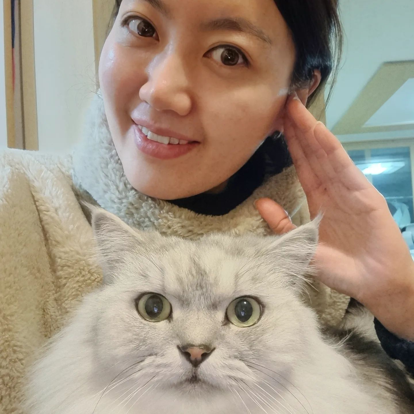 정방향 분홍코 레옹이와 21년도 마지막 쌩얼, 마지막 사진은 구글 포토가 알려준 둘째 낳고 얼마 안 된 15년도의 막날. >_<

살은 빼고 찌고를 반복하는 세월 속 6년간 주름은 자연스럽게 생겼으나 지금 내 얼굴이 좋다. 근데 둘찌가 엄마 늙었다고 하네 ㅋㅋㅋㅋㅋㅋㅋ 아놔 🤦 니가 가장 큰일했다고 생각해. 
.
.
.

#다이어트비포애프터 #사랑을주고받으며 #육묘육아그램 #저렇게크다니 #21년마지막날 #육아육묘 #다묘가정 #구글포토 #집사그램 #21년잘가 #해피뉴이어 #만반잘부 #스코티쉬폴드 #페르시안친칠라