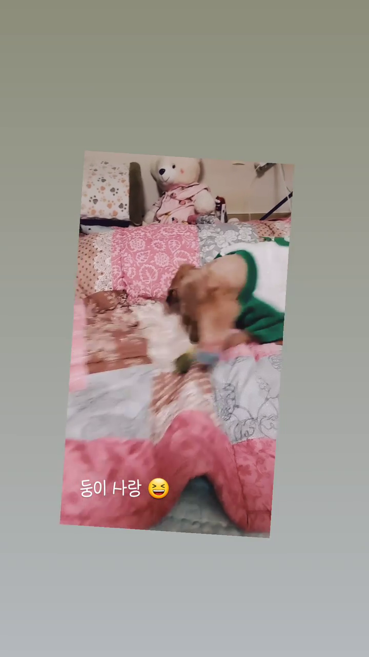 콘텐츠