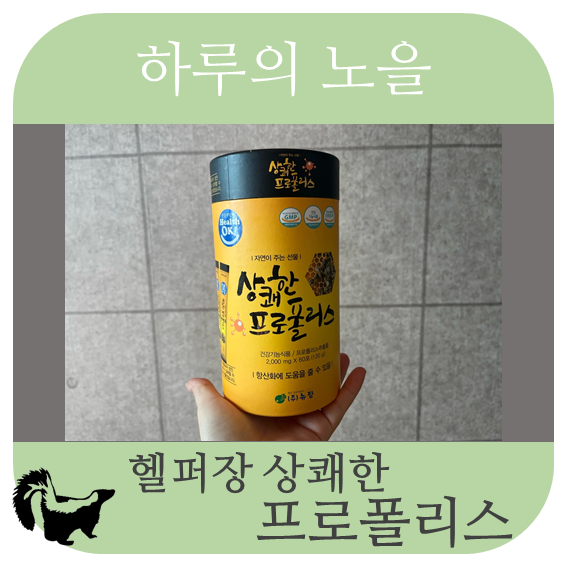 하루의 노을_20 헬퍼장 상쾌한 프로폴리스
