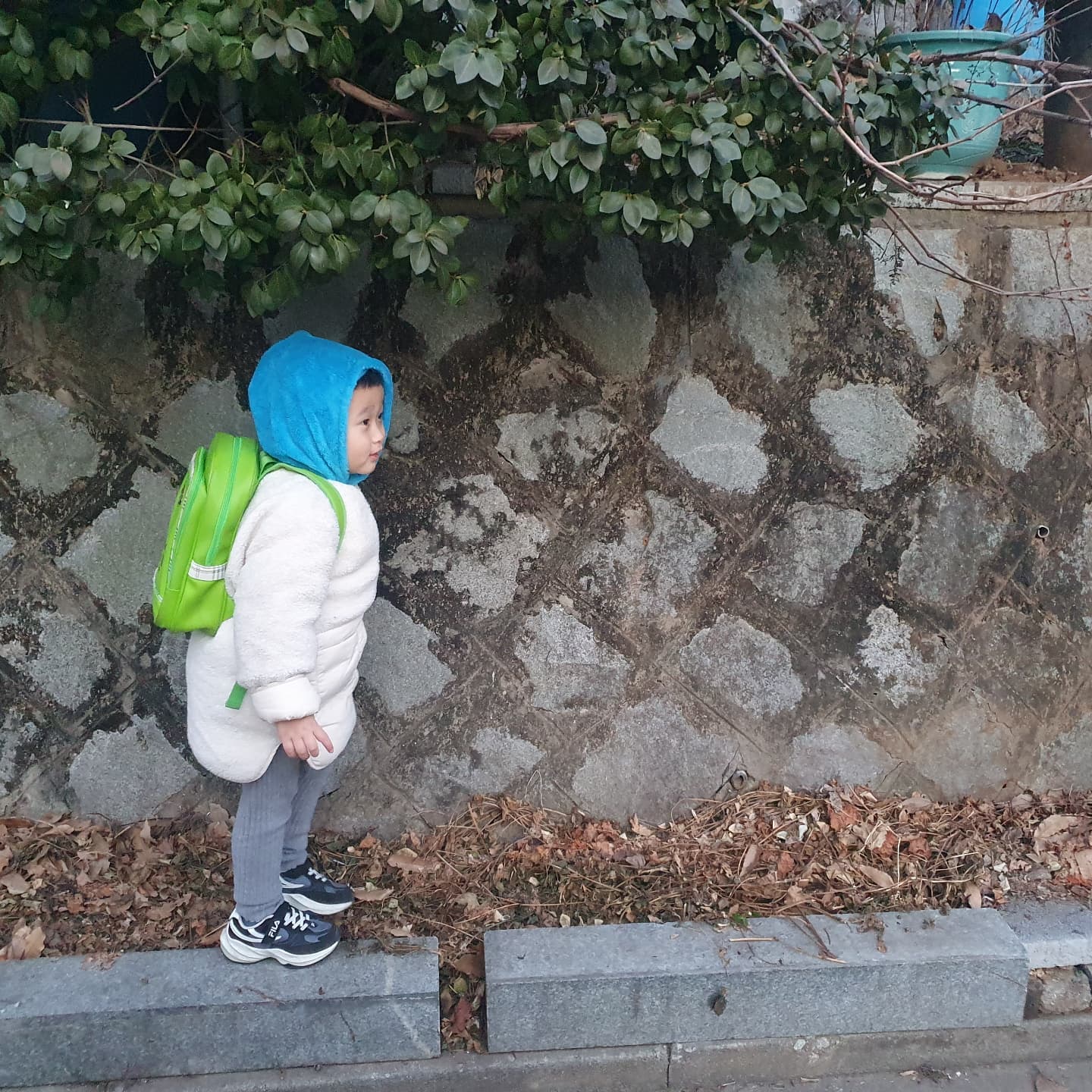언제 이렇게 컸냐....
귀여움은 매일 발전하는구만

#일상 #육아 #육아일기 #귀염 #귀염둥이
#아들