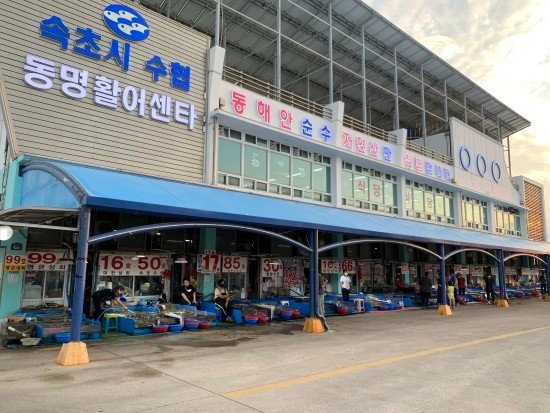 [속초 동명항] 속초 동명항 활어센터에서 회 떠 먹기 🐠🐟🐡