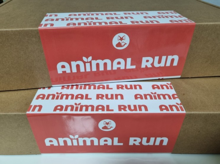 애니멀런 9월은 사막여우런🦊