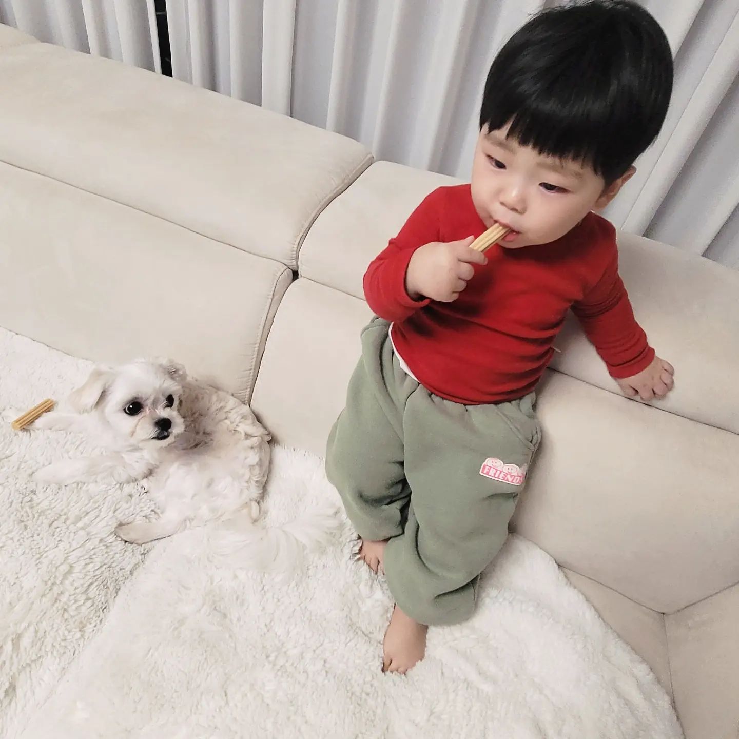 #간식타임 

강아지 간식주랬더니 지가 먹고 있노😳
사료는 머 기본이고 모든 음식 같이 공유하는 이놈의 이민호 🤨

#아기랑강아지 같이 키우기 힘드네요🤣

#잘못된만남
#강아지랑아기
#남매일상 #육아데일리 
#부산맘 #육아맘 #공감