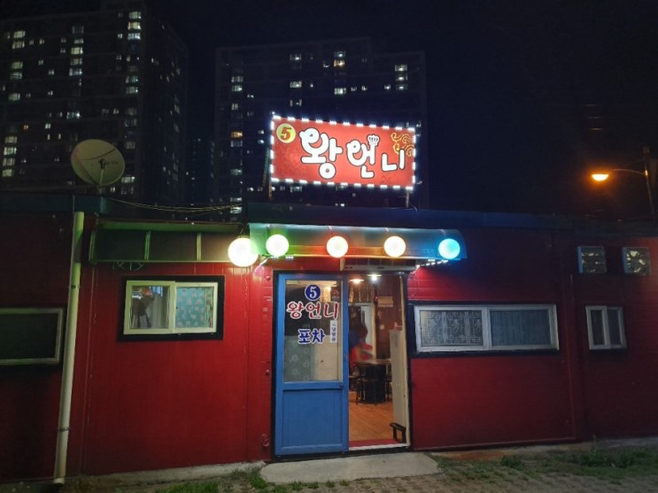 용인에도 있다!! 포장마차촌  종합운동장 5번 왕언니 포차