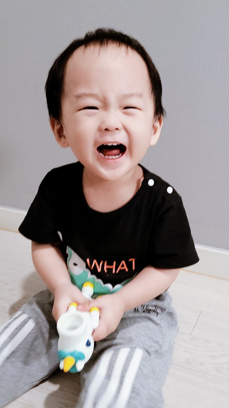 유아집콕놀이 아이가 정말 좋아하는 슈팅 동물총 장난감 애니멀퐁 아기장난감 추천