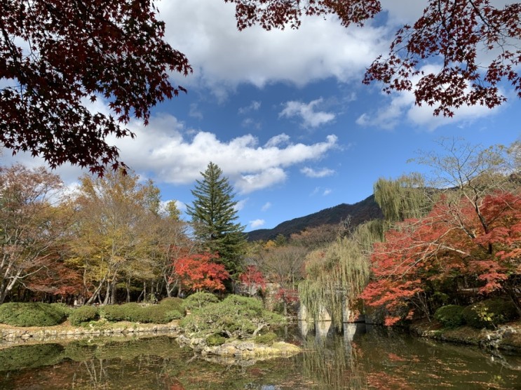 경주 단풍명소 11월의 불국사 구경