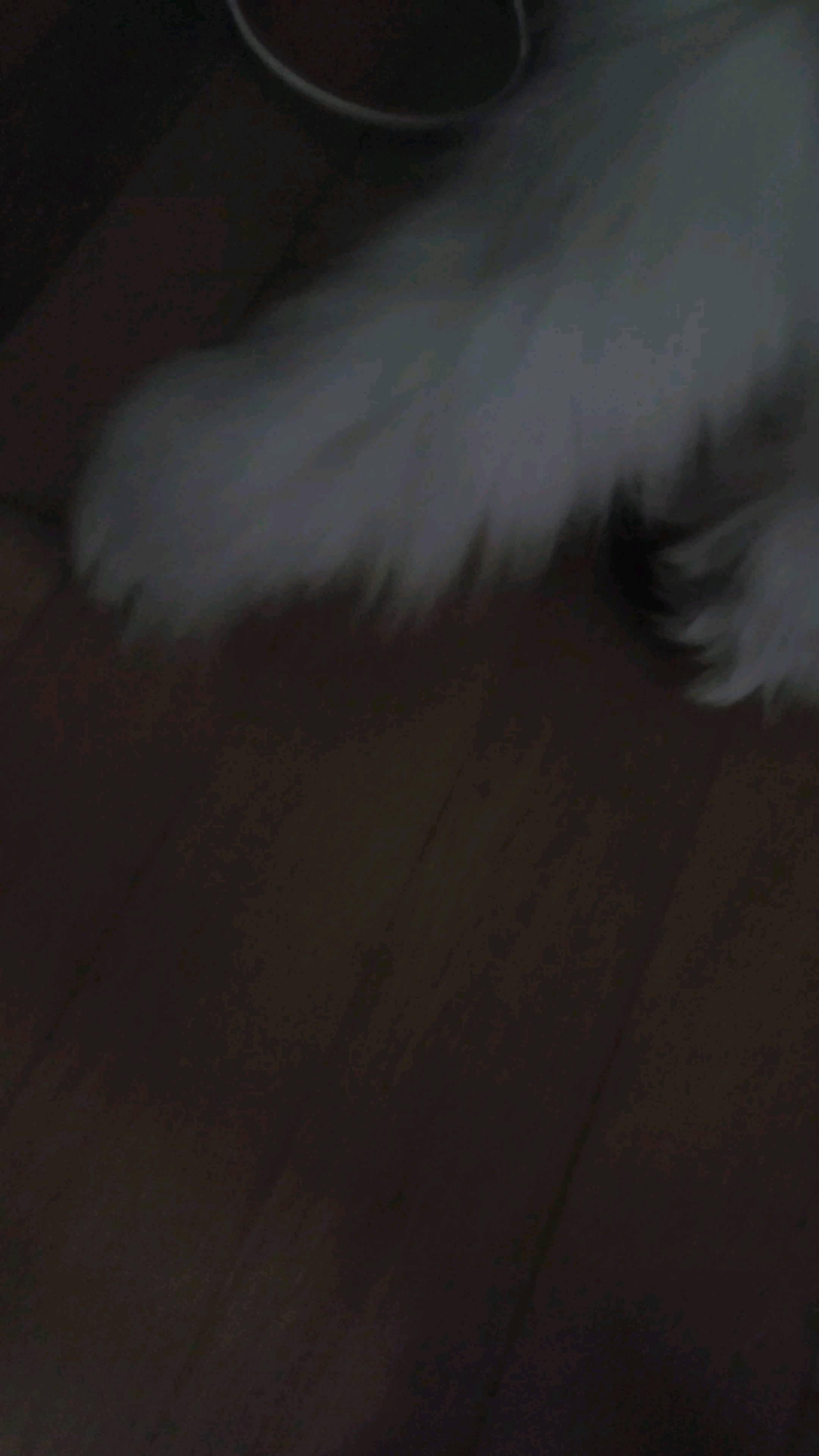 도카인