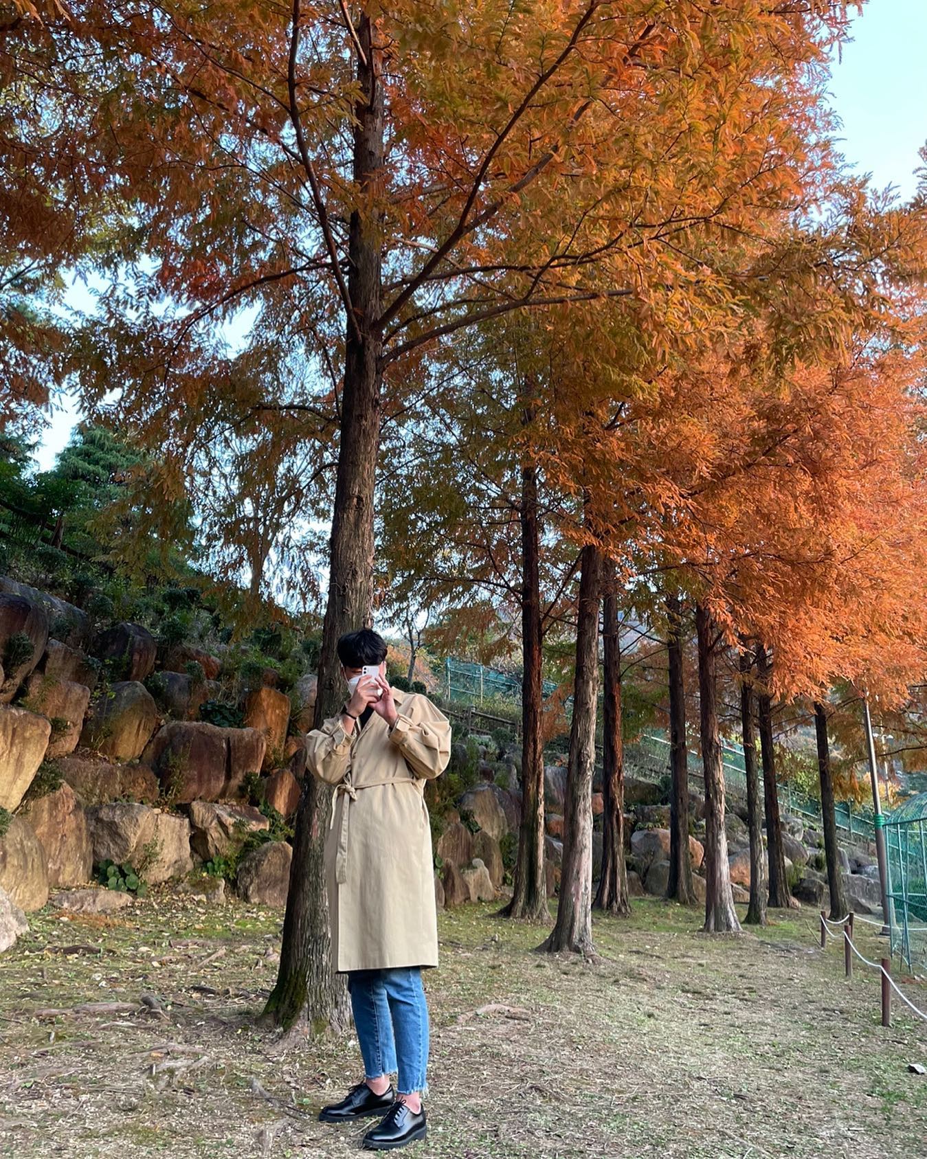 🍁