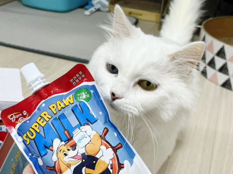 기호성 좋은 고양이우유는 생활픽!