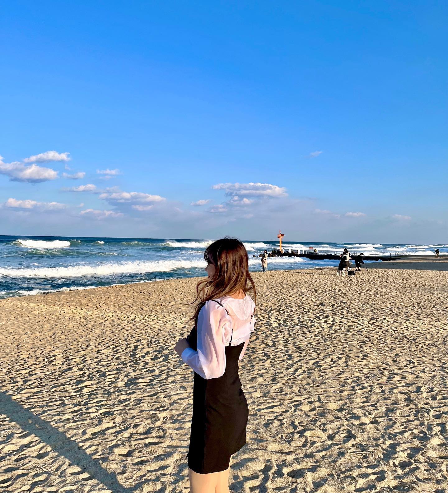 콘텐츠