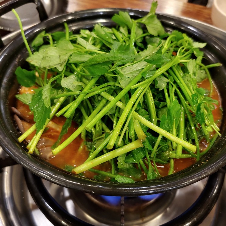 일산 중산동 맛집 [등촌샤브칼국수 중산점]