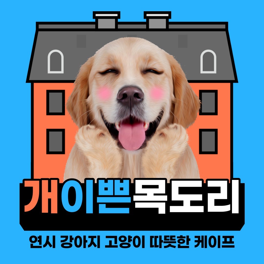 벌써 3월이 시작하고 하루가 더 지난 3월 2일이 되었습니다. 다들 잘 지내고 계신가요? 
오늘부터 개학 시즌이라 설레는 기운을 담은 바람이 부는 것 같더라고요. 

날씨도 한결 따뜻해진 게 곧 봄이라는 게 훅 다가오더라고요.
설레는 기운엔 설레는 선물이 함께하면 훨씬 좋겠죠? 
연시의 ❄goodbye winter❄이벤트 내일까지니 잊지 말고 참여해주세요

연시의 goodbye winter 이벤트 참여 방법.
🐶 연시맘 계정(alway225) 팔로우 필수
🐶 연시 스토어에서 갖고 싶은 제품 1개 캡처!
🐶 캡처한 제품+함께 참여하고 싶은 친구 1명,
연시맘을 태그해서 스토리 공유
🐶 해당 피드에 '참여완료' 댓글 남기기

기간은 내일까지! 추첨으로 6명을 뽑아 선물을 드리도록 하겠습니다~

‼연시 스토어 링크는 프로필에 있습니다

#강아지옷#고양이옷#강아지#고양이#반려견#반려묘#이벤트#홍보#좋아요#소통#일상#추천