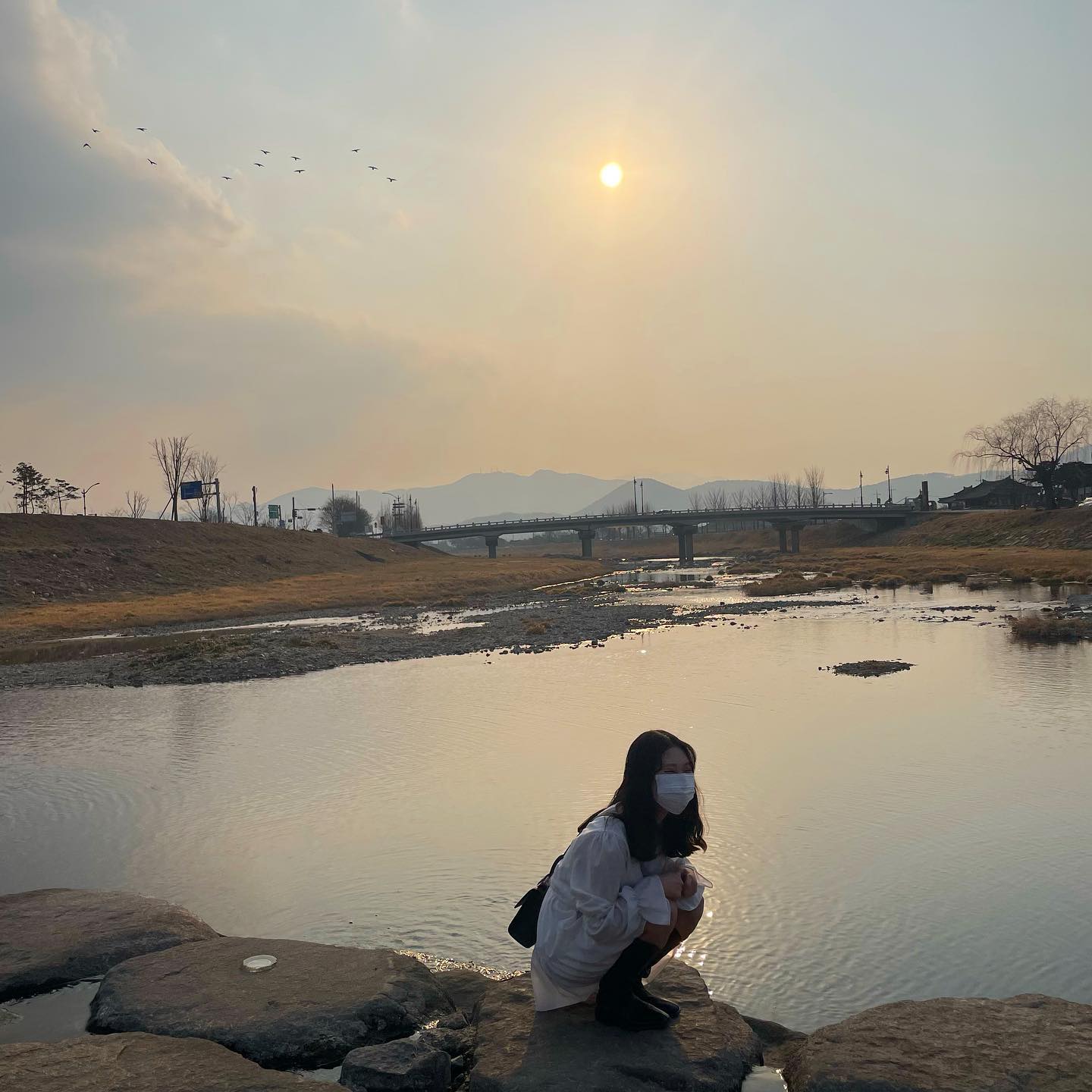 콘텐츠