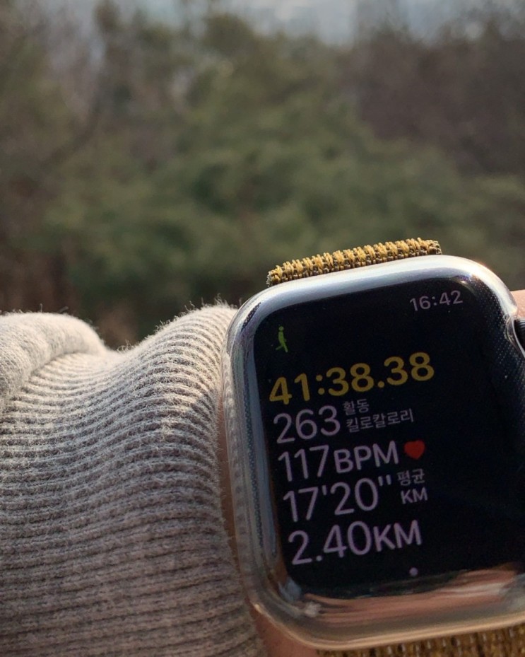 극한의 강박증을 가진 운동광공의 🍎애플워치 100일 사용기 ⏰ SE 44mm 스페이스 그레이 후기