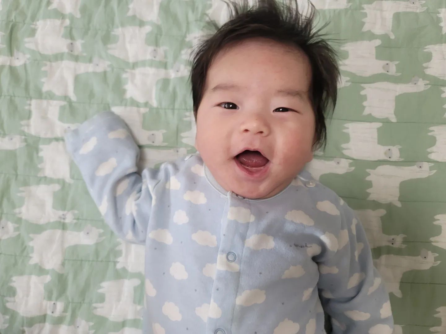 둘찌가 태어난지 71일째인데
서진이때랑 다르게 사진을 하나도 안올렸네😥
예민보스 박서한이 무럭무럭 크거라💕