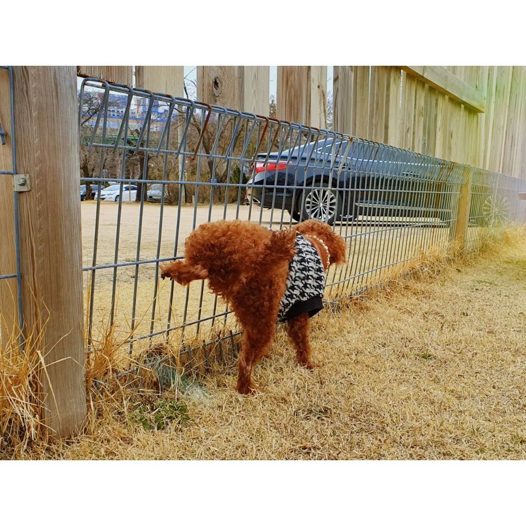 탐스러운 궁딩이