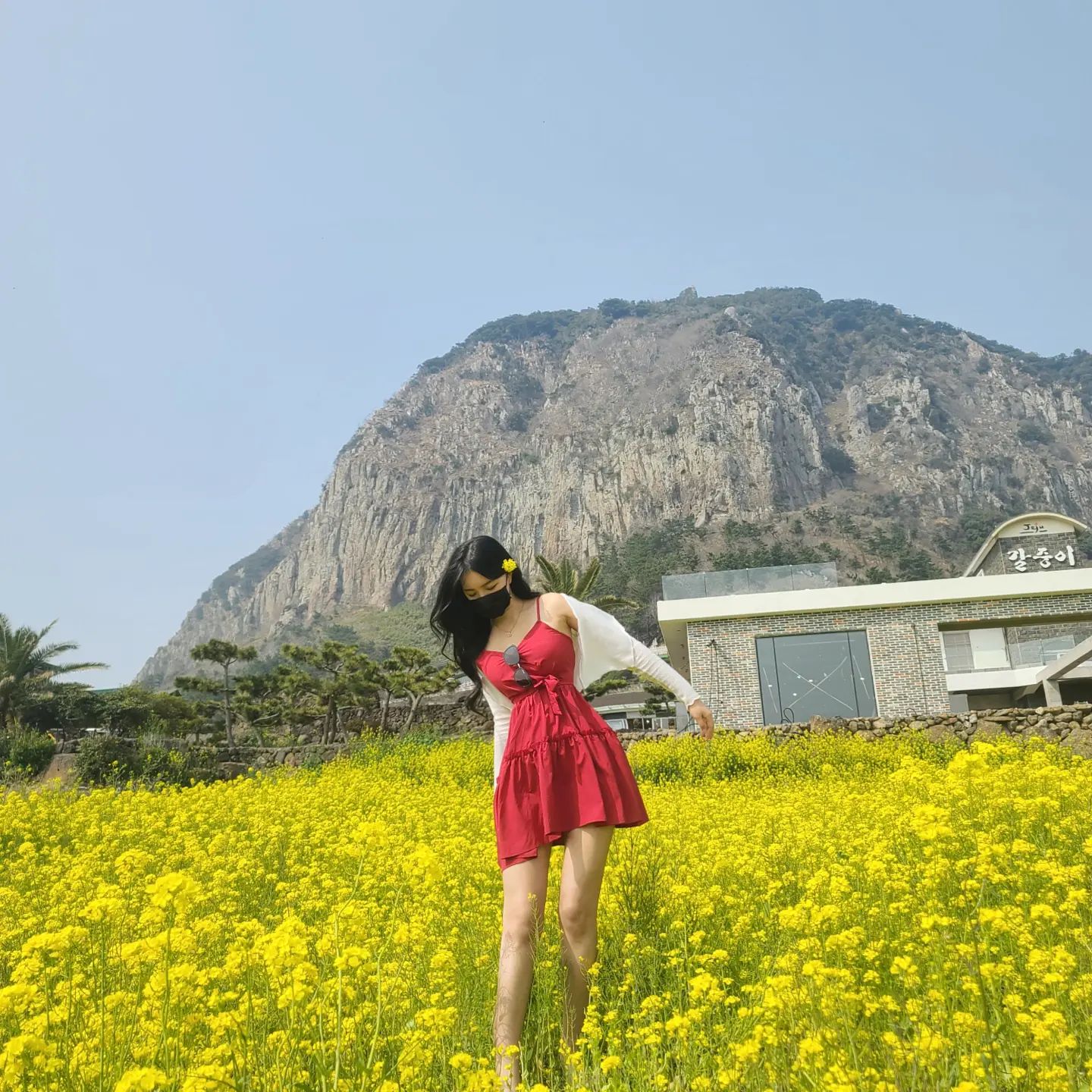 🌼🌼봄날씨🌸🌸