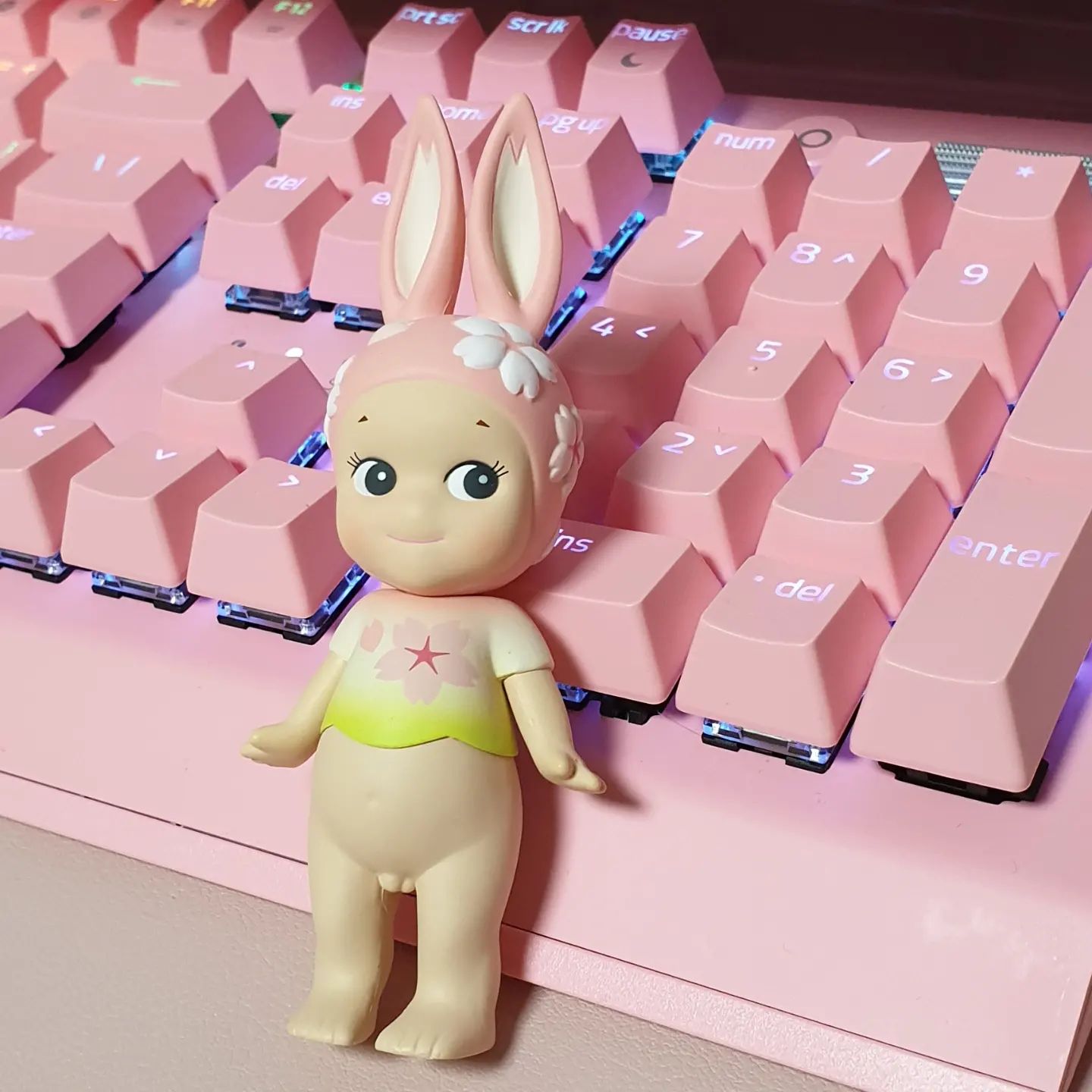 귀여워🐰

#소니엔젤 #sonnyangel #rabbit #🐰