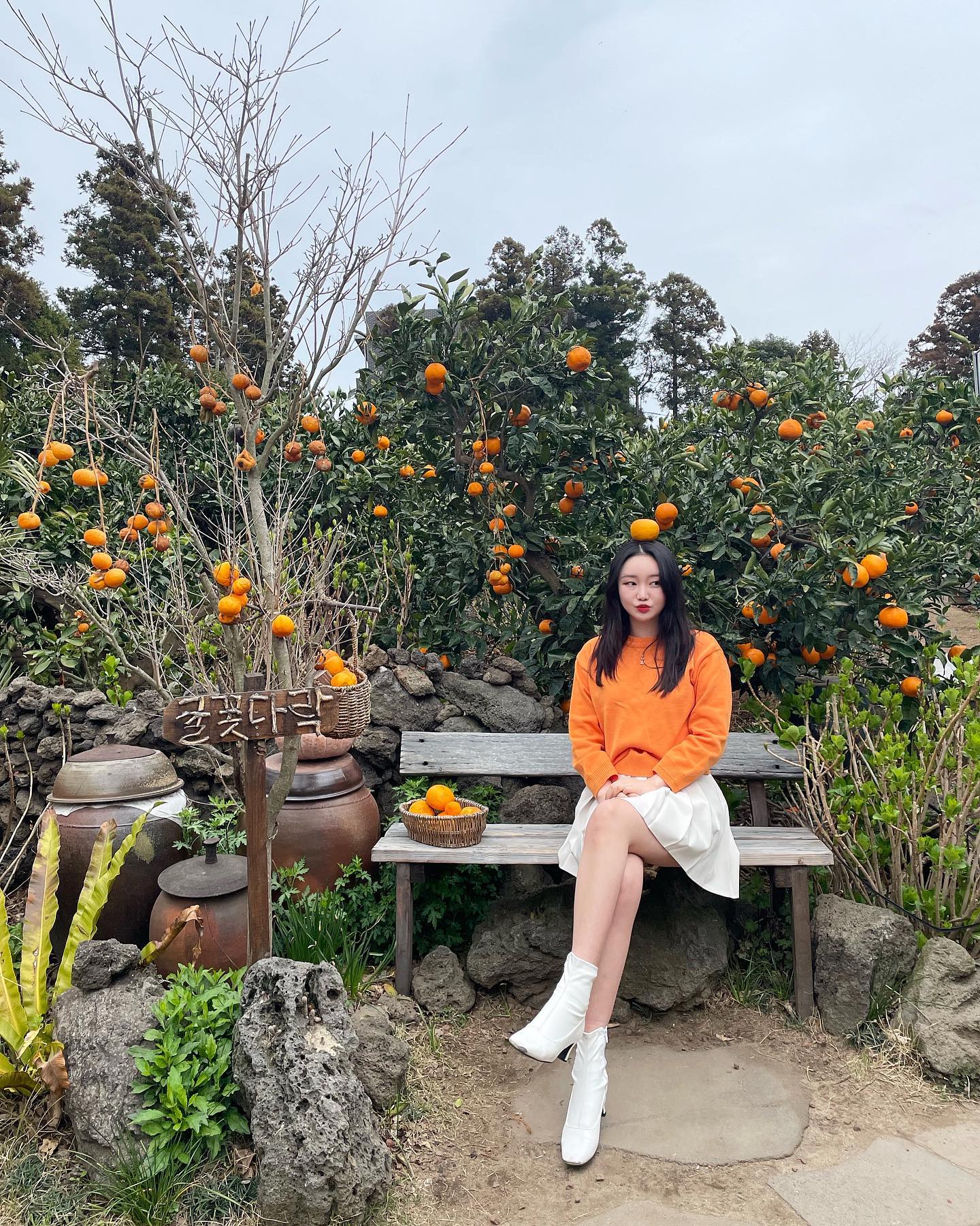 내가 좋아하는 🍊