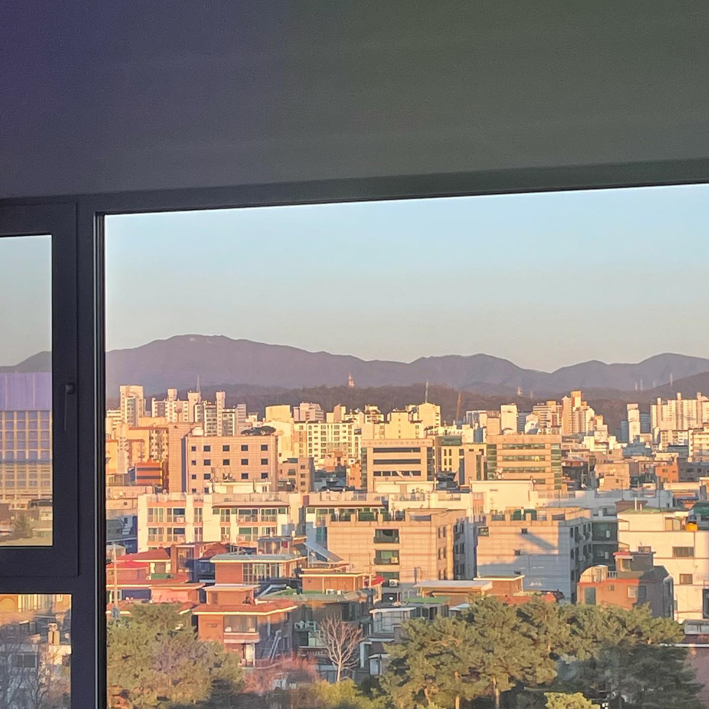 소소하게 행복했던 자가격리 ;)