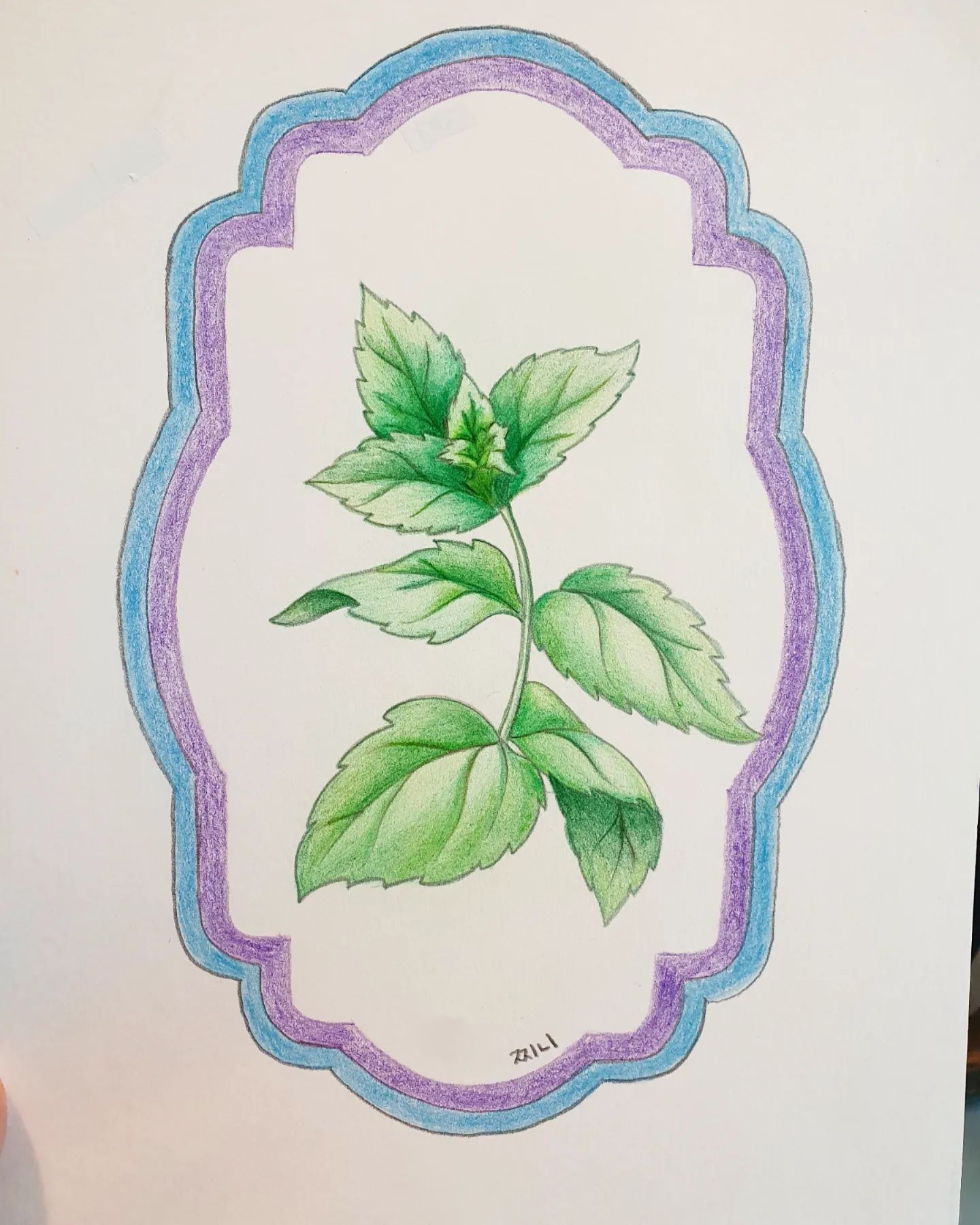 <ㅇㅗㅇㅖ> 오늘의 클래스는 페퍼민트 🌿 

소통과 이성, 정직, 평온 등의 키워드를 가지고 있는 페퍼민트에 대해 배웠어요! 

시원하고 화한 향 덕분에 리프레쉬가 되는 페퍼민트 :) 
페퍼민트 오일을 캐리어 오일과 블렌딩해서 향도 맡아보고 코도 머리도 뻥 뚫린 상태로 수업을 들으니 내용이 머릿속에 더 쏙쏙 들어왔어요 🙂

지난번보다 더 심화된 색칠하기! 재미킴 쌤께서 색연필로 잘 칠하는 방법을 너무나 섬세하고 쉽게 알려주셔서 무서워서 살살 칠하던 제가 이번엔 더 과감하고 진하게 칠해봤어요 ㅋㅋㅋㅋㅋㅋㅋ

다음수업도 기대가 됩니당😍
jaemee_kim 쌤 넘나 감사합니다🙏❤👍

수업은 상시모집이래요! 궁금하신 분은 저한테 물어보셔도 돼요 ㅋㅋㅋㅋㅋㅋㅋㅋㅋㅋㅋ
.
.
.
#오예 #오늘부터예술가 #오늘도불태웠다 #온라인클래스 #재미킴 #컬러 #아로마 #미술 #art #artist #color #일상 #매일컬러 jaemee_kim