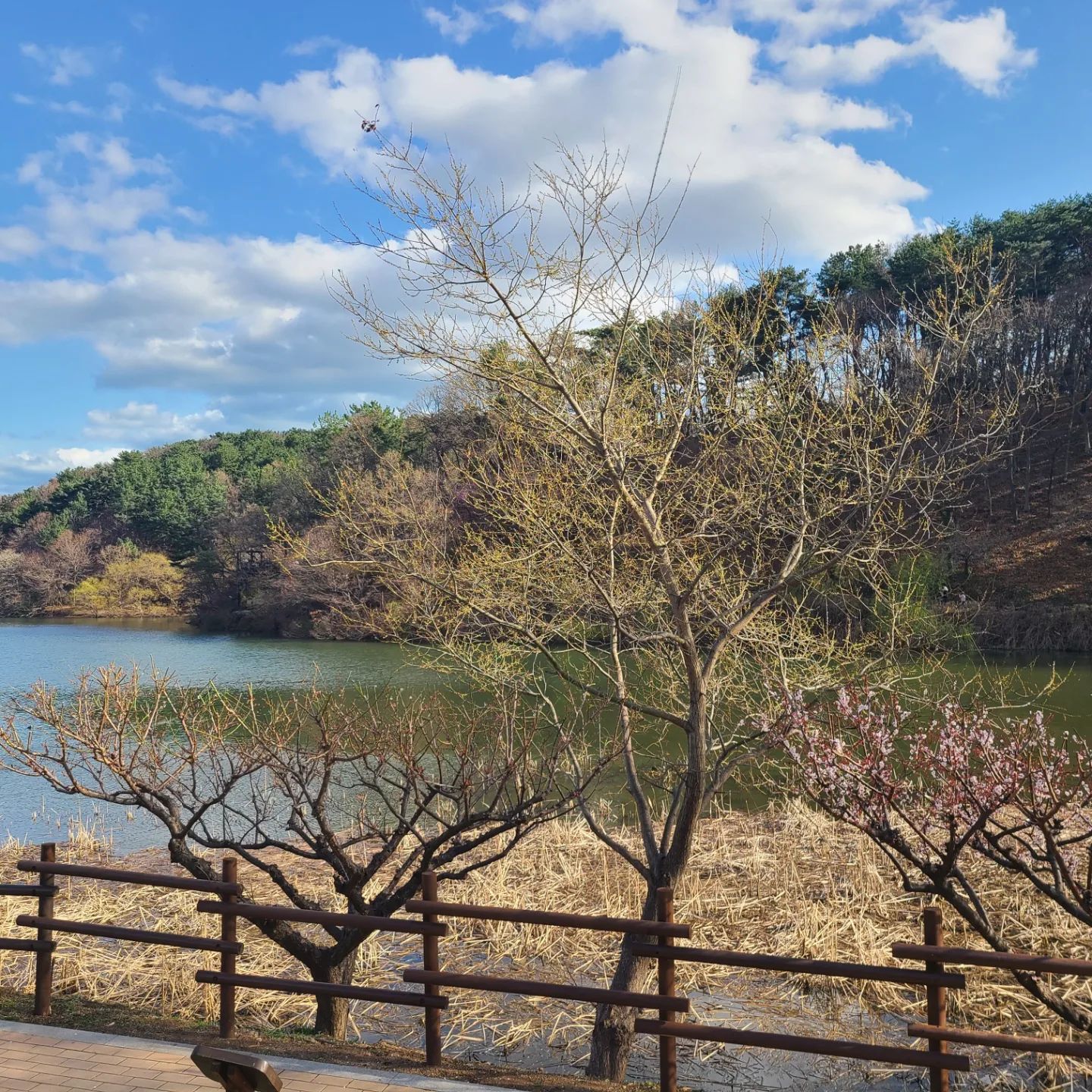 🏞 울산 선암호수공원

✔ 걷기좋은 곳
✔ 벚꽃피면 이쁜곳
✔ 호수를 크게 한바퀴 돌면 1시간
✔ 추천 소풍장소

#울산 #걷기좋은곳 #울산걷기좋은곳
#부산근교 #벚꽃
#울산벚꽃 #부산근교벚꽃
#선암호수공원 #울산선암호수공원