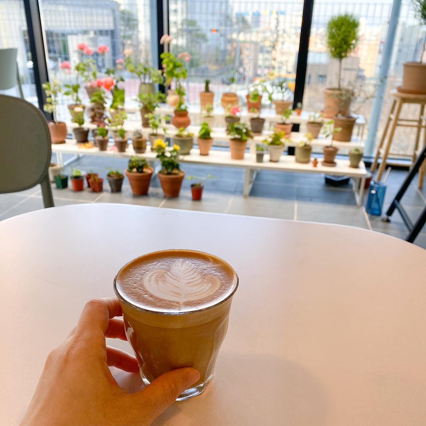 '
꽃구경하면서 라떼한잔☕️
카페버드 활짝 열려있으니 놀러오세요😄