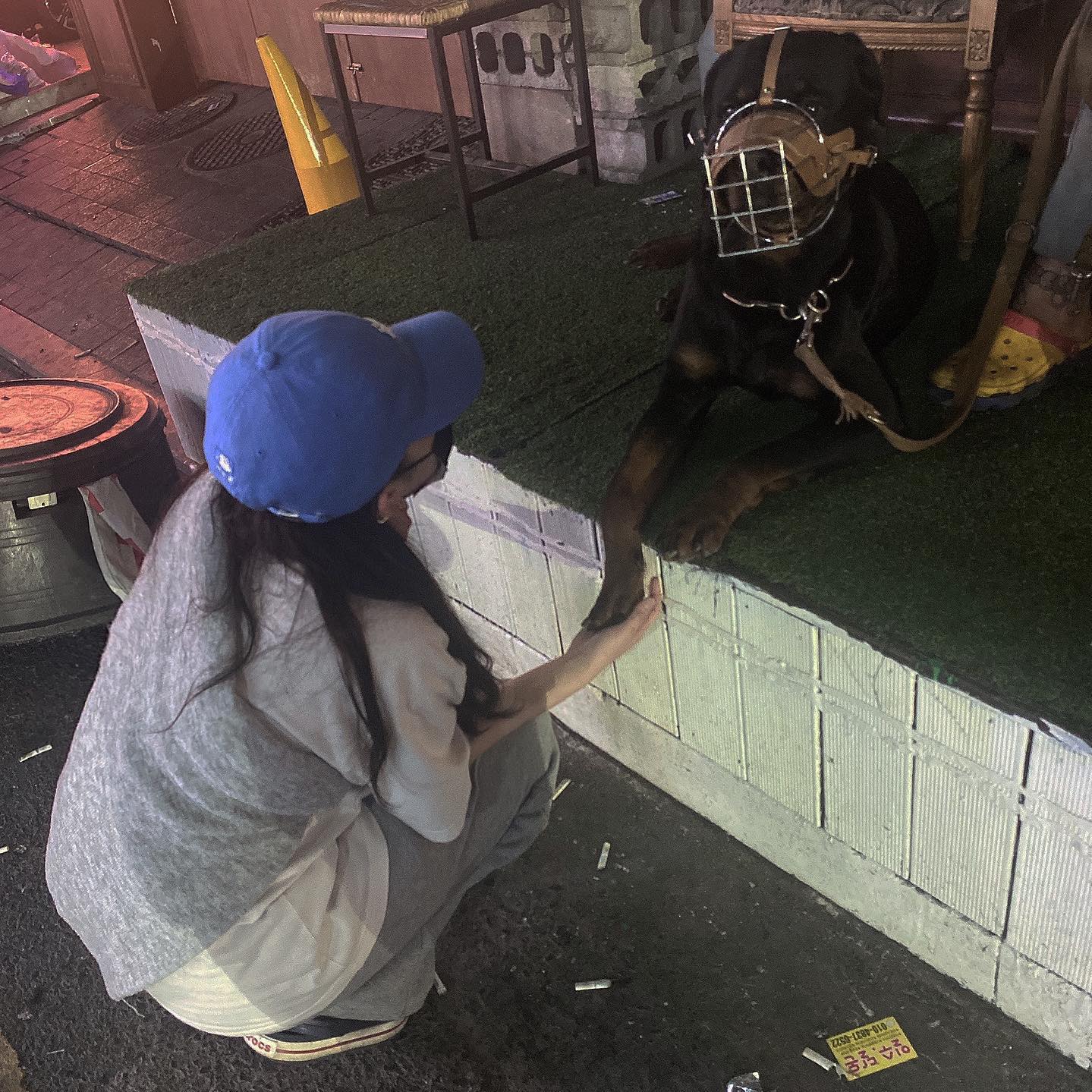 시몬이는 내 친구🖤